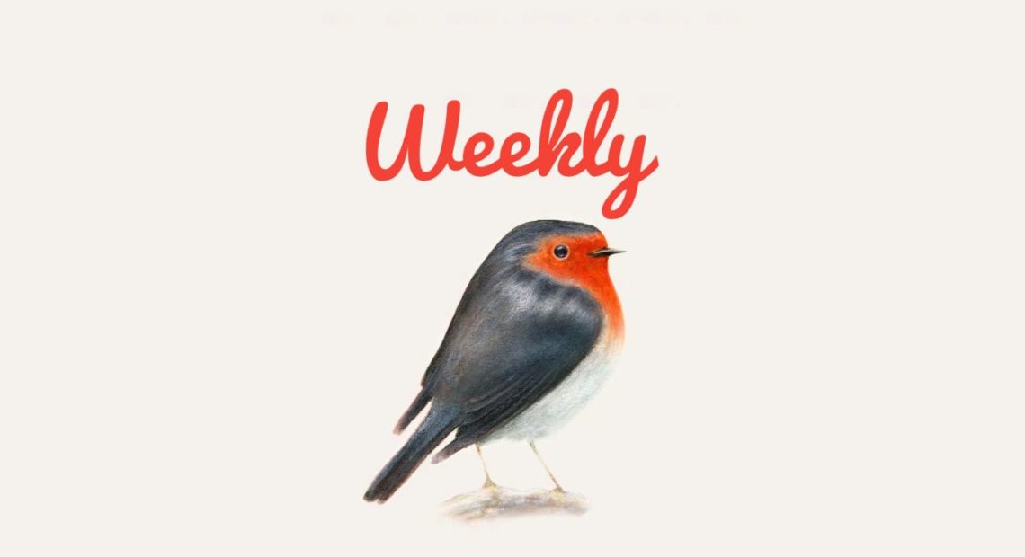 brunori weekly