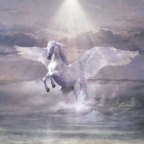 sulle ali del cavallo bianco Cosmo